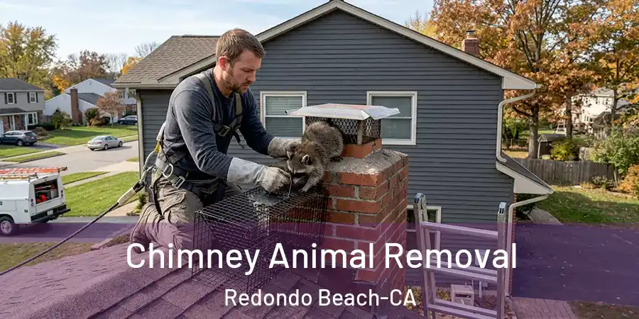 Chimney Animal Removal Redondo Beach-CA